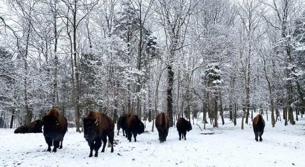 7 Kentucky Day Trips That Are Even Cooler During The Winter