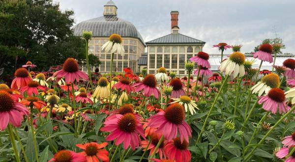 The Breathtaking Conservatory In Maryland You Must Visit This Year