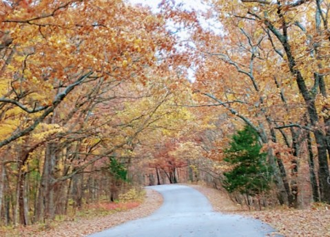 It's Downright Magical To Watch Missouri's Seasons Change At Babler State Park
