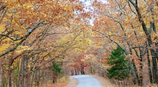 It’s Downright Magical To Watch Missouri’s Seasons Change At Babler State Park
