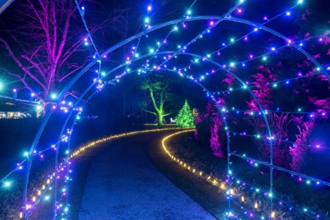Walk Through A Winter Wonderland Of Ice This Holiday Season At The Sparkling Lights At The Breakers In Rhode Island