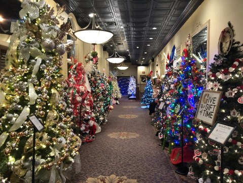Walk Through A Winter Wonderland Of Greenery This Holiday Season At The Festival Of Trees In West Virginia