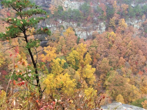It's Downright Magical To Watch Georgia's Seasons Change At Cloudland Canyon State Park