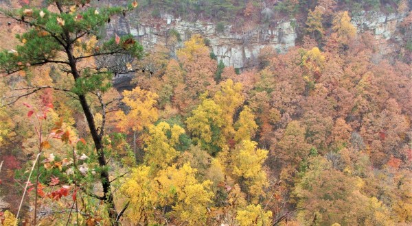 It’s Downright Magical To Watch Georgia’s Seasons Change At Cloudland Canyon State Park