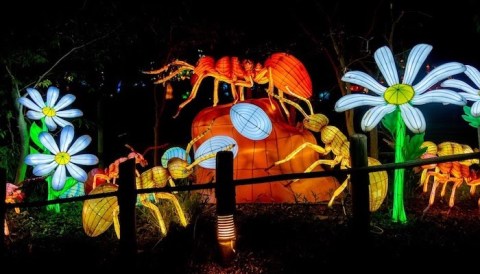 Walk Through A Winter Wonderland Of Ice This Holiday Season At The Let It Glow Holiday Lantern Spectacular In New Jersey