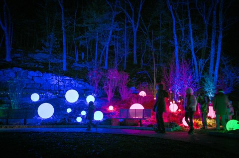 Walk Through A Winter Wonderland This Holiday Season At Night Lights In Massachusetts