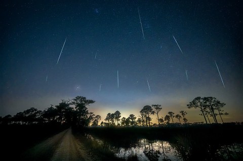 The Boldest And Biggest Meteor Shower Of The Year Will Be On Display Above Florida In December