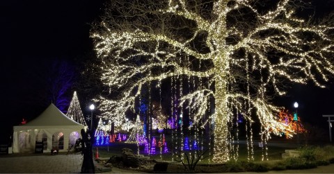 Even The Grinch Would Marvel At The Winter Wonderland Holiday Lights At Wellfield Botanic Gardens In Indiana