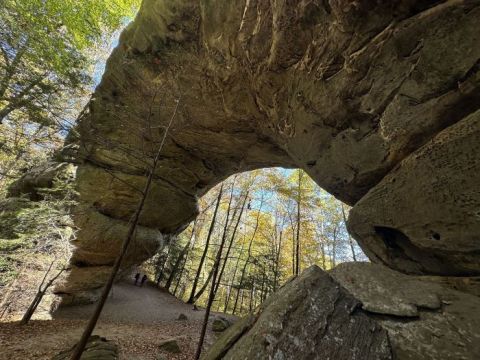 The One Park In Tennessee With Swimming Holes, Arches, Camping, And Trails Truly Has It All