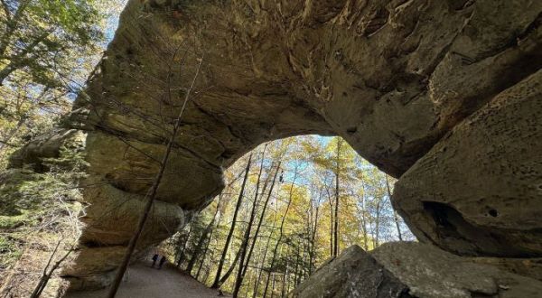 The One Park In Tennessee With Swimming Holes, Arches, Camping, And Trails Truly Has It All