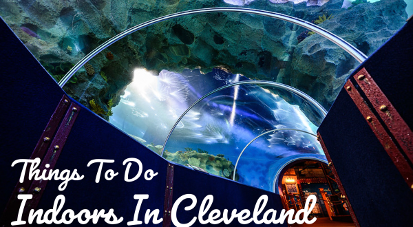 27 Bucket List Worthy Things to Do Indoors in Cleveland