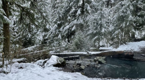This Primitive Hot Springs Trail In Washington Is Everything You Need This Winter