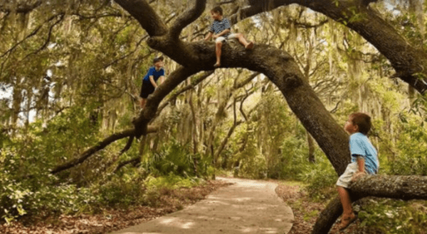 Here Are The 10 Best Towns In Florida To Raise A Family