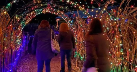 A Christmas Corn Maze Is Coming To Maryland This Winter