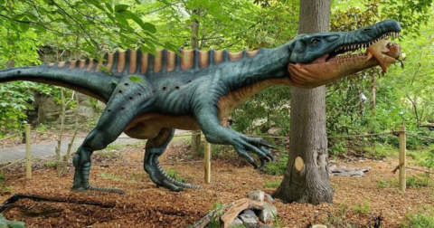 This Dinosaur Walk In The Middle Of The Virginia Woods Will Capture Your Imagination