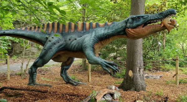 This Dinosaur Walk In The Middle Of The Virginia Woods Will Capture Your Imagination