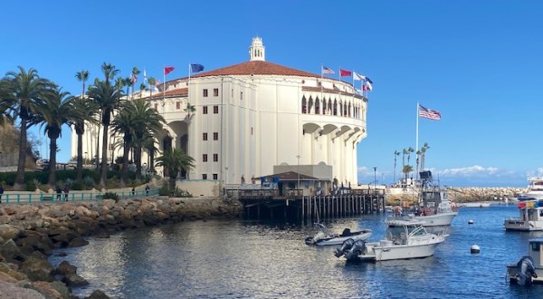 Come With Me To Southern California’s Catalina Island And Discover A Quintessential Relaxing Getaway