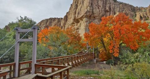 The Arizona Garden Where You Can Hike Across A Suspension Bridge And An Elevated Walkway Is A Grand Adventure