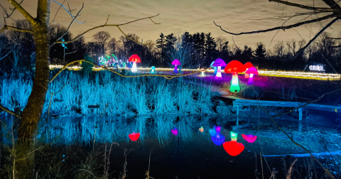 Walk Through A Winter Wonderland Of Ice This Holiday Season At Light In The Forest In Ohio