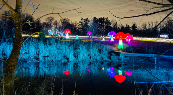 Walk Through A Winter Wonderland Of Ice This Holiday Season At Light In The Forest In Ohio