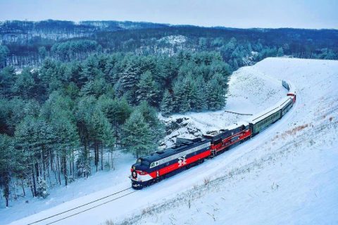 Ride A Christmas Train Then Enjoy A Holiday Light Show For A Holly Jolly Connecticut Adventure