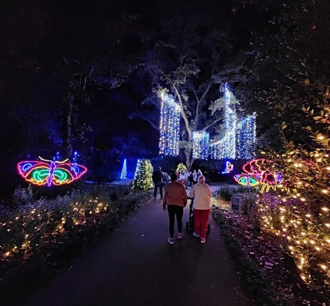 Magic Christmas In Lights, An Alabama Christmas Display Is Among The Most Beautiful In The World