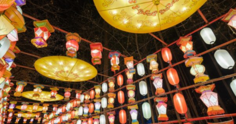 There’s A Chinese Lantern Festival Coming To North Carolina And It’s Downright Magical