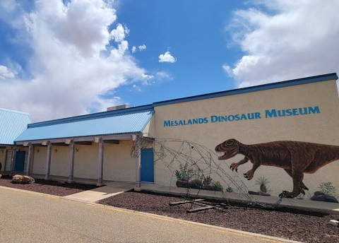 It's Bizarre To Think That New Mexico Is Home To The Country's Largest Collection Of Bronze Dinosaur Skeletons, But It's True