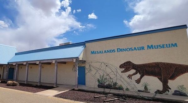 It’s Bizarre To Think That New Mexico Is Home To The Country’s Largest Collection Of Bronze Dinosaur Skeletons, But It’s True