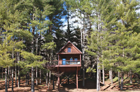 There's A Treehouse Cabin In Virginia Where You Can Spend The Night