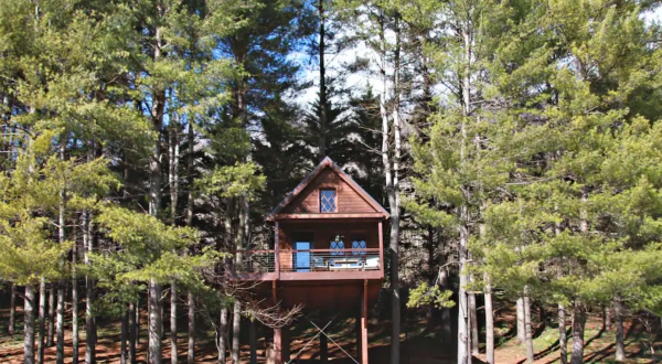 There’s A Treehouse Cabin In Virginia Where You Can Spend The Night