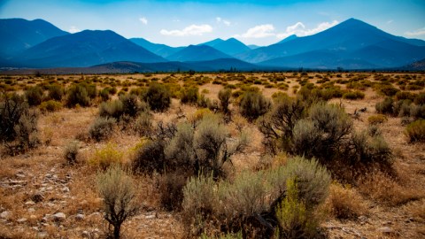 The Ultimate Guide To Nevada’s Great Basin National Park