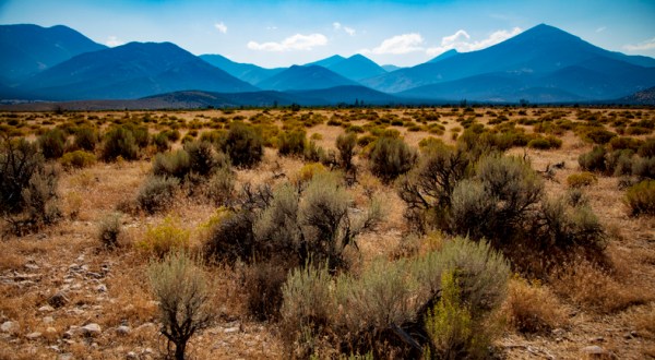 The Ultimate Guide To Nevada’s Great Basin National Park