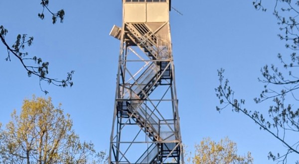 Don’t Let These Stunning Views Fool You, The Fire Tower Loop in Bernheim Forest In Kentucky Is Actually An Easy Hike