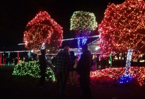 Even The Grinch Would Marvel At The Dazzling Lights Display At Christmas In The Park In Alabama