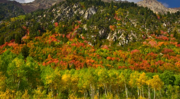 It’s Downright Magical To Watch Utah’s Seasons Change In Little Cottonwood Canyon