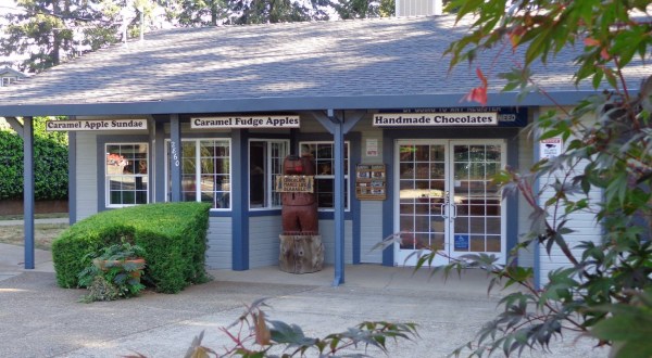 This Hilltop Country Store In Northern California Sells The Most Amazing Homemade Fudge You’ll Ever Try