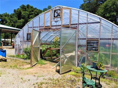 This Junkyard-Turned-Farmstead In Arkansas Provides An Incredible Farm-To-Table Dining Experience