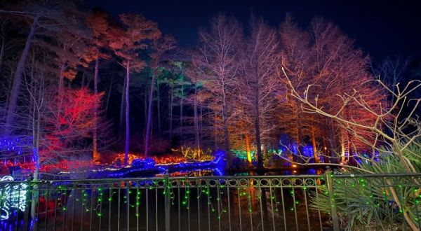 Walk Through A Winter Wonderland Of Ice This Holiday Season At The Holiday Lights In The Garden In North Carolina
