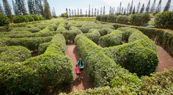 The World’s Largest Maze Is Here In Hawaii And It’s An Unforgettable Adventure