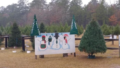 The Charming Small Town In South Carolina Where You Can Still Experience An Old-Fashioned Christmas
