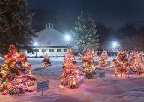 The Christmas Tree Trail At Slater Park In Rhode Island Is Like Walking In A Winter Wonderland