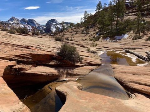 The 2-Mile Many Pools Trail In Utah Is Full Of Jaw-Dropping Natural Pools