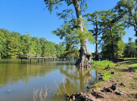 This Small State Park In Mississippi Is A Magical Hidden Gem Worth Exploring