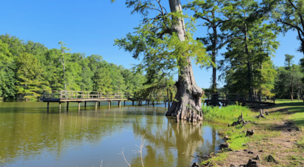 This Small State Park In Mississippi Is A Magical Hidden Gem Worth Exploring