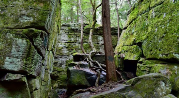 There’s No Other Landmark In Pennsylvania Quite Like These 300-Million-Year-Old Rock Formations