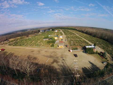 Big John Leyden’s Tree Farm Is A 125-Acre Christmas Tree Farm In Rhode Island That’s Just As Magnificent As It Sounds