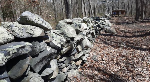 Hike Past Rhode Island’s Rock Maze, Pocasset Ridge Trail, For An Adventure Like No Other