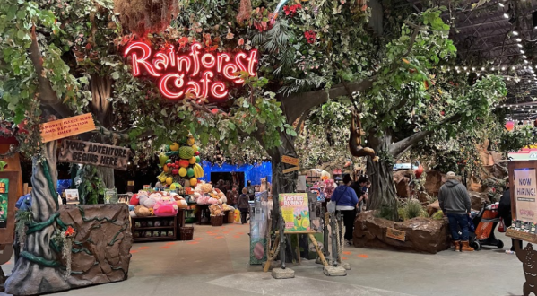 The Whole Family Will Love A Trip To The Rainforest Cafe, A Rainforest-Themed Restaurant In Michigan