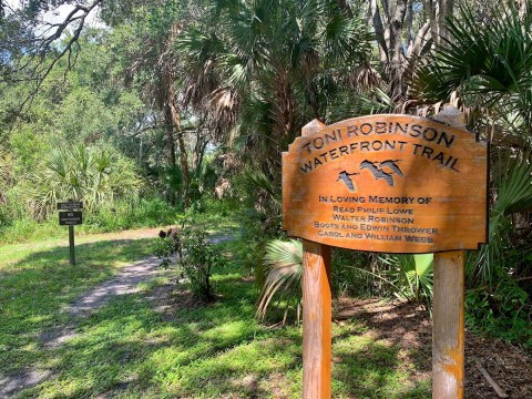 Enjoy An Unexpectedly Magical Hike On This Little-Known Waterfront Trail In Florida